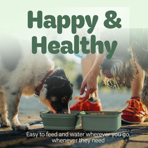 Collapsible Dog Water Bowl 30oz - 2 in 1 Portable Travel Food Bowl with Lid, Easy Carry Handle for Pets