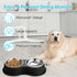 Large Stainless Steel Dog Bowls Set with No-Slip Base, Raised Edges for No Spill, for Small to Large Pets