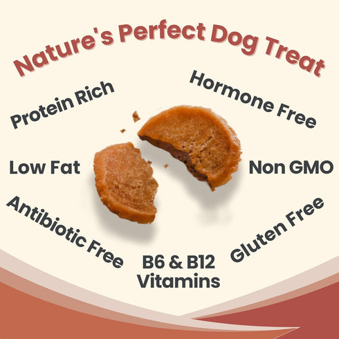 Dog Training Treats, Chicken Chips, Single Ingredient, Healthy All Natural Treats for All Dog Breeds