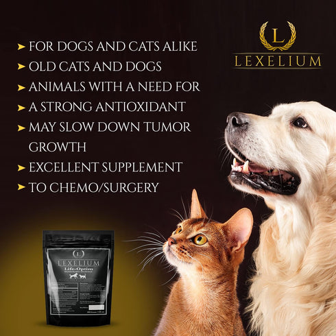 Life-Optim Terminal Illness Support Blend for Dogs and Cats, 100% Natural Supplement Powder, 200 Gram Bag