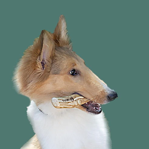 LEMURIA Coffee Wood Dog Chew Stick Toy, Natural Durable Real Wooden Bone Sticks for Dogs, Small