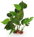 SunGrow Plastic Leaf Plant, Heavy-Duty Ceramic Base, Hiding Spot for Fish and Reptiles, 10 Inches