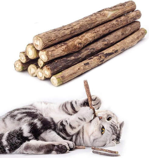 20 PCS Cat Catnip Sticks, Natural Matatabi Silvervine Sticks - Molar Tools Kitten Chew Toy