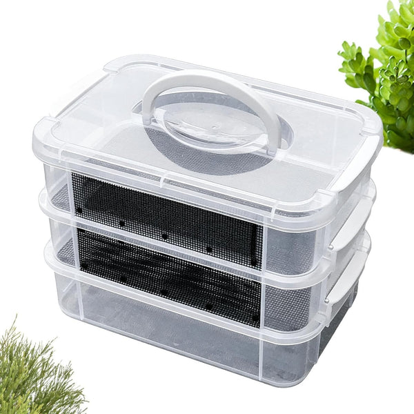 Genrico Flour Kennel | Transparent Breeding Habitat with Fine Mesh Flour Farm, for
