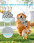 Dog Toys, Squeaky Plush No Stuffing Crinkle Toy for All Dog Sizes, Interactive Puppy Teething Water Bottle Chew Toy