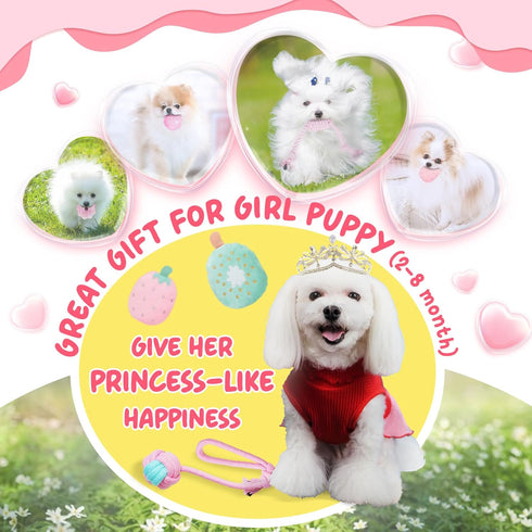 Pink Puppy Toys for Boredom - 23 Pack Chew Toys for Teething, Interactive Toys for Puppies, Cute Small Toys with Treat