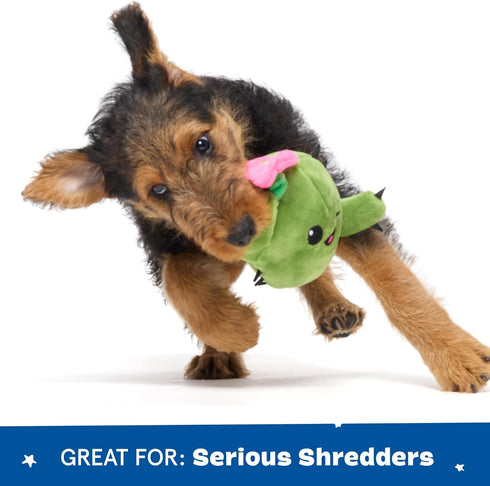 Barkbox 2 in 1 Interactive Plush Dog Toy - Rip and Reveal Toy for Dogs and Puppies, Stimulating Squeaky Pet Toy