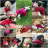 Pet Dog Classic Knitwear Sweater, Warm Winter Coat for Small Dogs (S, Wine Red)