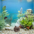 3pcs SOLUSTRE Aquarium Fish Cave Shelter with Multiple Holes Ceramic Betta Fish and Shrimp Hiding House for Breeding