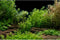 AWERT 72x18 inches Aquarium Background - River Bed & Lake Aquatic Plant Fish Tank Background