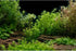 AWERT 72x18 inches Aquarium Background - River Bed & Lake Aquatic Plant Fish Tank Background