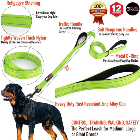Dog Leash 6ft Long, Heavy Duty, Traffic Padded, Reflective Double Handles for Large or Medium Dogs, Green
