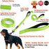 Dog Leash 6ft Long, Heavy Duty, Traffic Padded, Reflective Double Handles for Large or Medium Dogs, Green