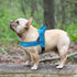 Didog Soft Flannel Padded Dog Vest Harness, No Pull Reflective Strap Harness, Easy for Training Walking (M)