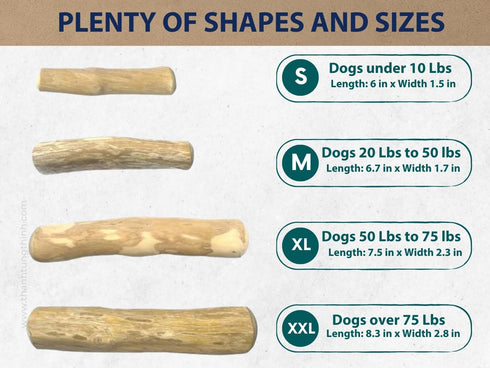 Coffee Wood Dog Chew Stick - Non-Toxic Puppy Chew Toy for Teething, Safe, Made in Vietnam - 1 Pack/2 Pieces (Medium)