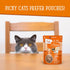 Weruva Cats in The Kitchen Pumpkin Jack Splash with Tuna in Pumpkin Soup Cat Food - 3oz Pouch (Pack of 12) - Orange