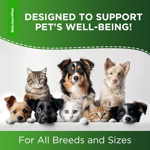 10-in-1 D3, 2 Oz at Vitamins for Indoor Cats Liquid Multivitamin for Dogs C, B Group, for Skin, Coat, & Breathing