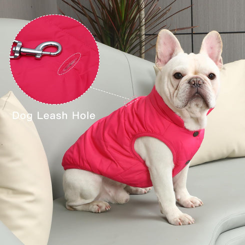 2 Layers Fleece Lined Warm Dog Jacket for Winter - Soft Windproof Small Dog Coat, Pink S