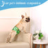 3 Pack Count, 3) Washable Male Dog Diapers: Reusable Belly Bands for Puppy - Absorbent Doggy Wraps (Dinosaur, Small