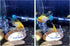 Aquarium Fish Shrimp Feeding Dish Set, Transparent Feeding Tube with Ring and Cleaning Brush for Fish Tank