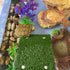 DoubleWood Lawn Turtle Basking Platform, Resting Platform with Simulation Grass for Small Reptiles, Frogs