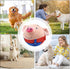 Panup Active Moving Pet Plush Toy - Cute Squeaky Pig Dog Toy, Talking and Singing Plush for Small Dogs, Red