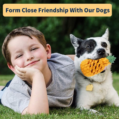Upgrade Tough Dog Toys for Aggressive Chewers, Indestructible Interactive Chew Toys for Large Small Dogs