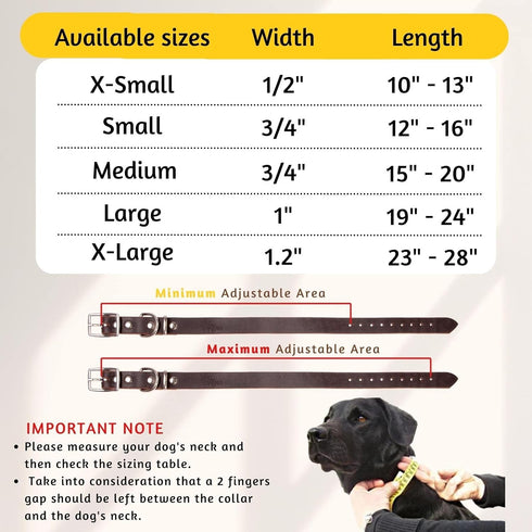 ADITYNA Classic Style Leather Dog Collar for Small Dogs, Soft and Strong, Heavy Duty Top-Grain Leather (S, Neck: 12-16
