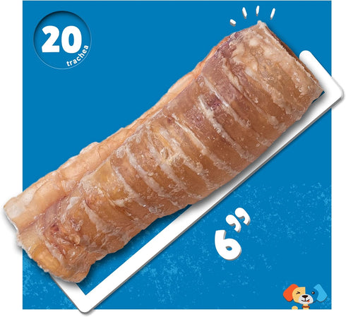 6" 20 Pack Jack&Pup Beef Trachea for Dogs | All Natural Single Ingredient Dog Treat Dog Trachea Chews | Savory and Fun