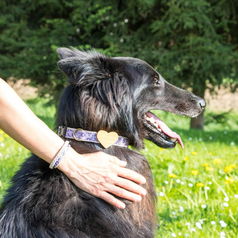 Pettsie Dog Heart Collar & Matching Friendship Bracelet - Adjustable Durable Hemp for Small & Medium Dogs