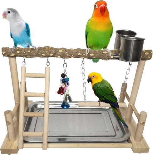 PINVNBY Bird Playground Parrot Playstand Birds Play Stand Wood Exercise Perch Gym