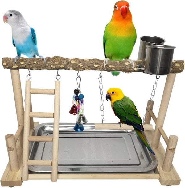 PINVNBY Bird Playground Parrot Playstand Birds Play Stand Wood Exercise Perch Gym
