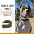 OneTigris Military Adjustable Dog Collar, Metal D Ring & Buckle, 2 Sizes (Coyote Brown, M)