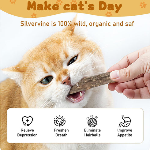 Silvervine Sticks for Cats, Natural Catnip Matatabi Chew Toys, Teeth Molar Chew Sticks, 12 PCS