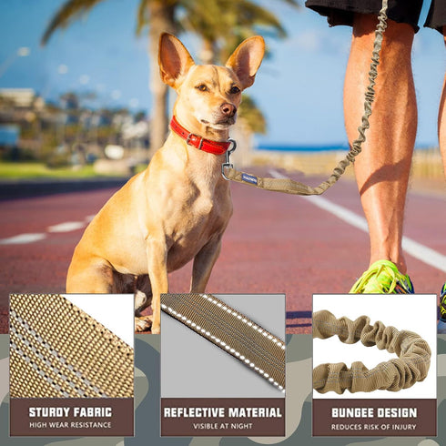 AUROTH Heavy Duty Bungee Dog Leash - No Pull Leash for Medium Large Dogs with 2 Padded Handles, 4.5FT 6FT