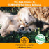 MICROBE-LIFT Outdoor Pet Odor Eliminator, 32oz for Strong Odor on Turf, Patios, Deck, and Lawns - Keeps Pets From Going