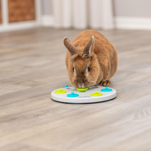 Chinchilla Trixie Rabbit Snack Board, Interactive Toy, Small Animal Puzzle, Mental Stimulation, Rabbit, Ferret, Bunny