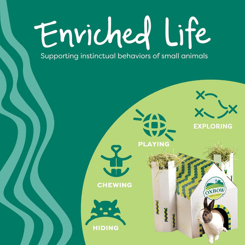Chinchilla Oxbow Enriched Life Twisty Rings, Rabbit & Guinea Pig Toy, Hamster, & Rat Chew Rings, Small Pet Enrichment