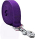 16 Feet Long Nylon Dog Leash, Walking Training Leash for Medium Large Dogs (1" X 16 ft, Purple)