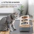 Upgraded Elevated Cat Bowls with Food Mat, 15° Tilted Stand Anti Vomiting Raised Dishes for Cats and Puppy