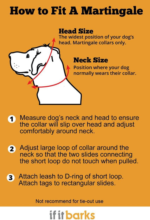 If It Barks 1" Martingale Collar for Dogs, Adjustable Nylon, USA Made, Medium, Spunky