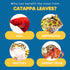 SunGrow 50 Pcs Mini Catappa Indian Almond Leaves for Betta Fish Aquarium, Improves Habitat and Lowers pH