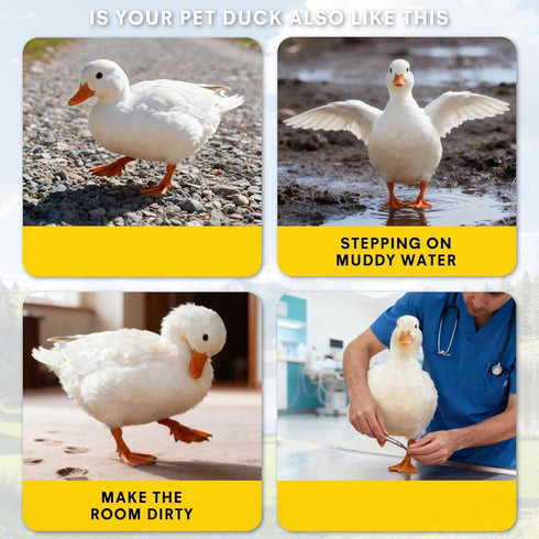 JYMBER 20-Pack Disposable Duck Booties with Self-Adhesive Bandages,Protective Foot Covers for Ducks & Waterfowl,Pet