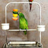 Honbay 2pcs Parrot Bird Rabbit Hutch Cage Skewer - Fruit Vegetable Holder Foraging Toy (S)