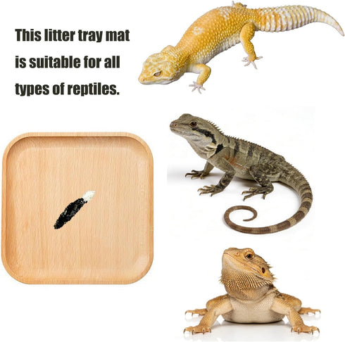 LYYZLFLDM 2 Pcs Leopard Gecko Potty Pad, Beech Crested Gecko Latrine Pad, Portable Gecko Tank Accessories for Reptile