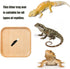 LYYZLFLDM 2 Pcs Leopard Gecko Potty Pad, Beech Crested Gecko Latrine Pad, Portable Gecko Tank Accessories for Reptile