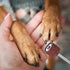LXUEJIE 42 Pack Trimmer Nail Grinder Replacement Kit, Nail Grinders for Dogs Replacement Kit, Pet Nails Grinder