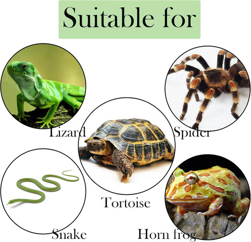 Resin Turtle Basking Platform, Turtles Rock Dock Climbing Ramp Cave Hideout Decor for Small Lizards, Frogs, Snakes,