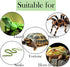 Resin Turtle Basking Platform, Turtles Rock Dock Climbing Ramp Cave Hideout Decor for Small Lizards, Frogs, Snakes,