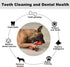 Dog Toys for Aggressive Chewers, Durable Natural Rubber Chew Toys for Medium Large Dogs with Bacon Flavor, Red